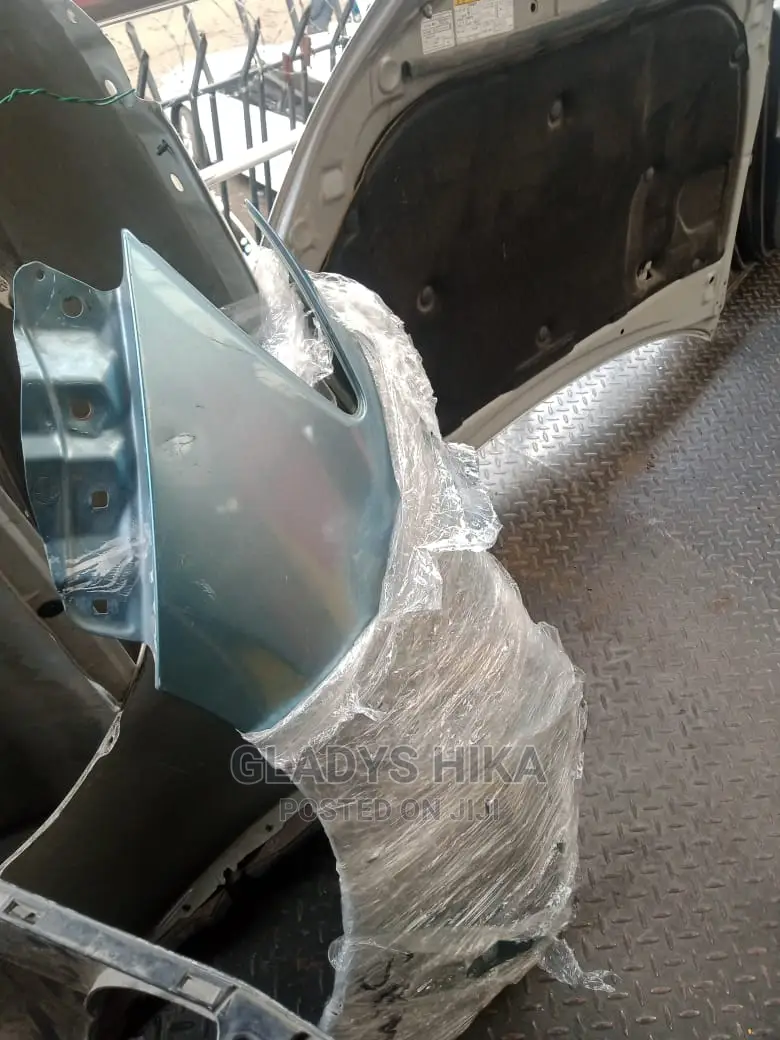 Ex Japan Wing/Fender for Wish2010 on Sale