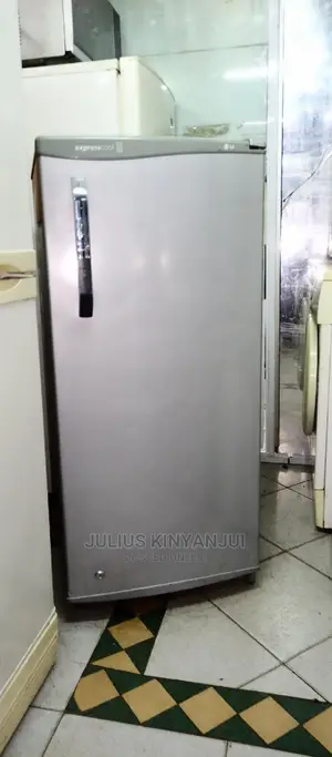 LG One Door 190L