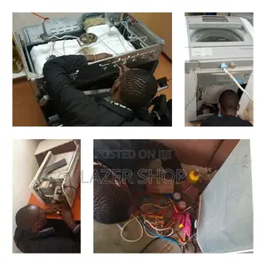 Professional Fridge Technician