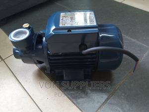 Maxpolar Surface Pump - thumbnail 2