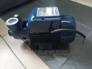 Maxpolar Surface Pump