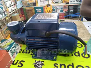 Maxpolar Surface Pump