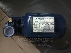 Maxpolar Surface Pump