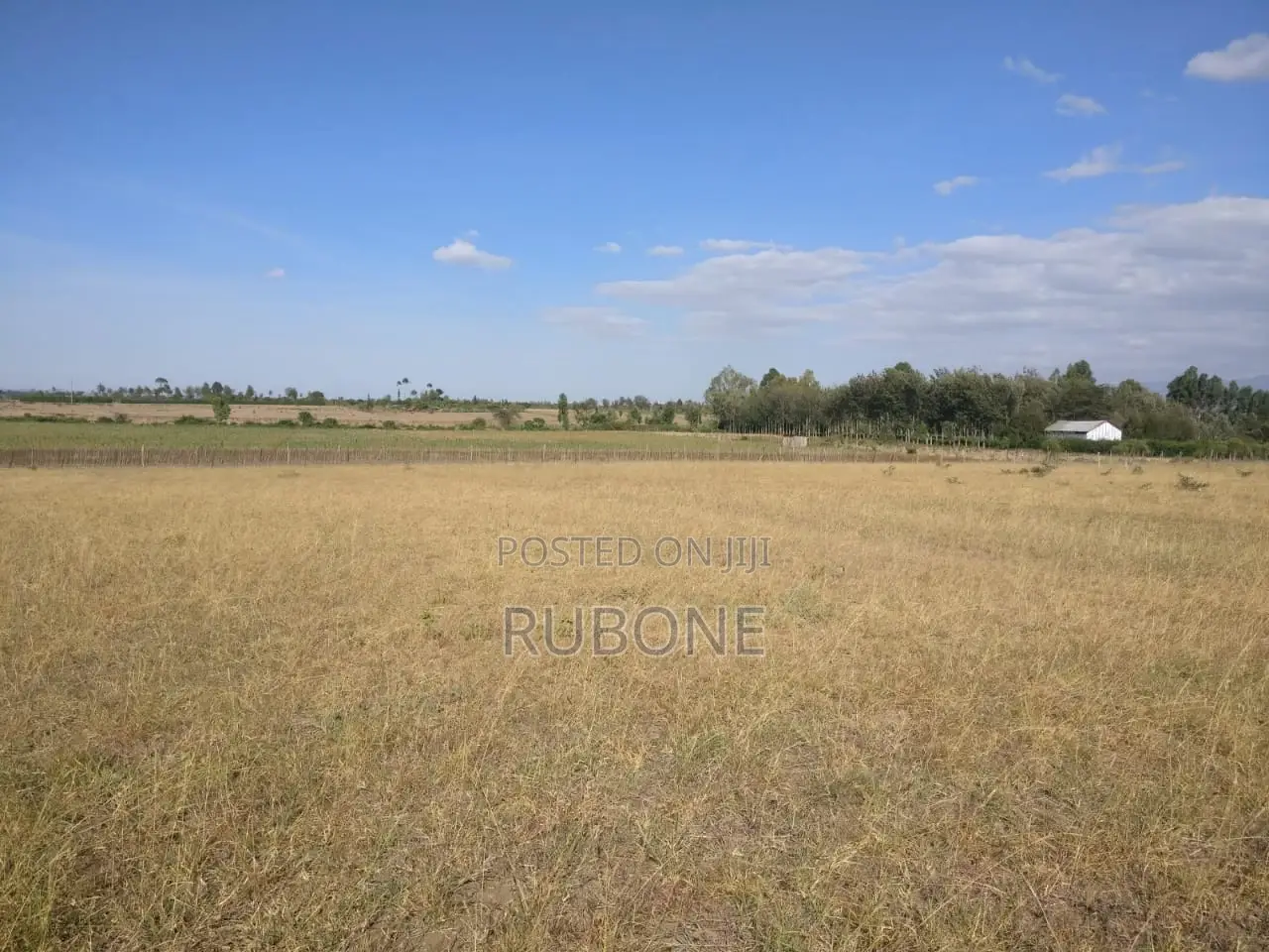 1acre Behind Nanyuki Airstrip