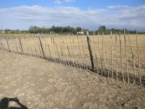 1acre Behind Nanyuki Airstrip
