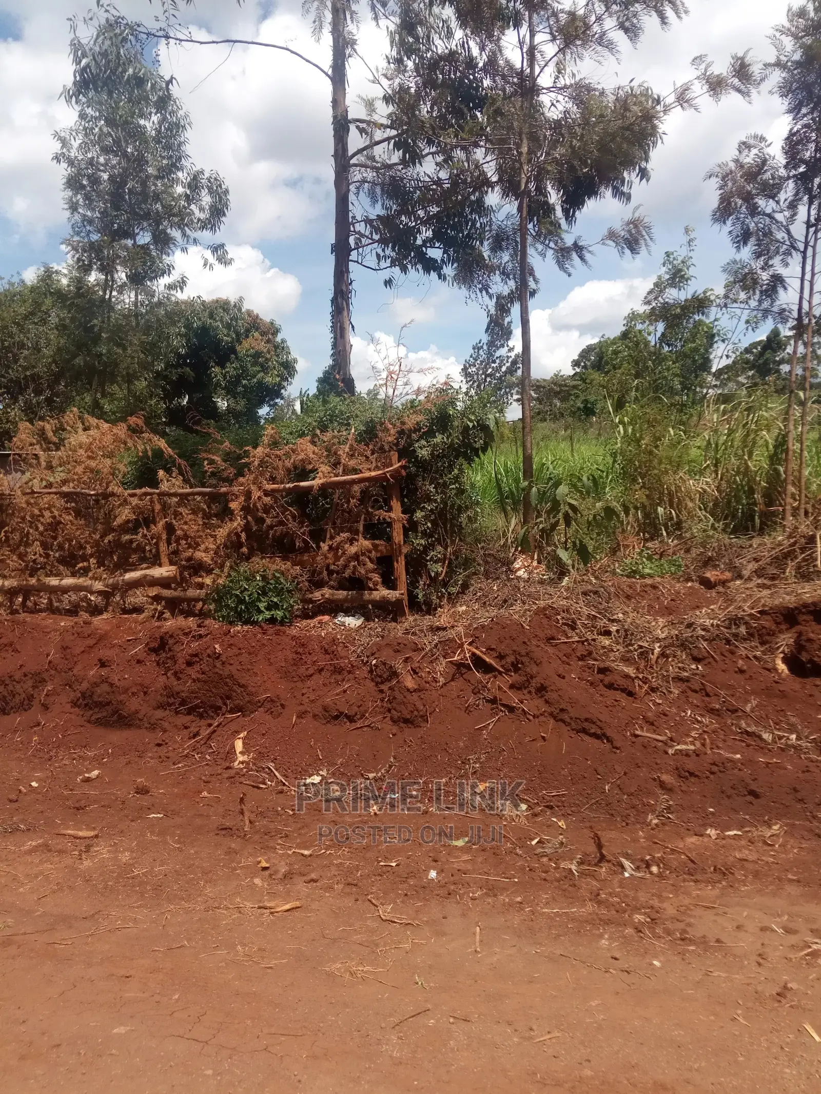 Karen - Karinde Plot