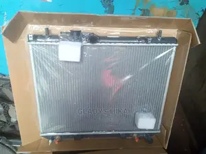 Brand New Radiator for Carmi on Sale