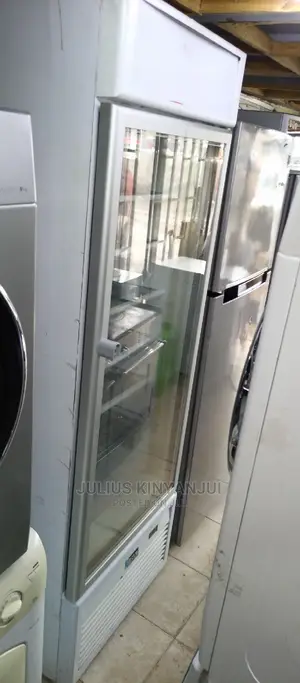 Upright Freezer 500L
