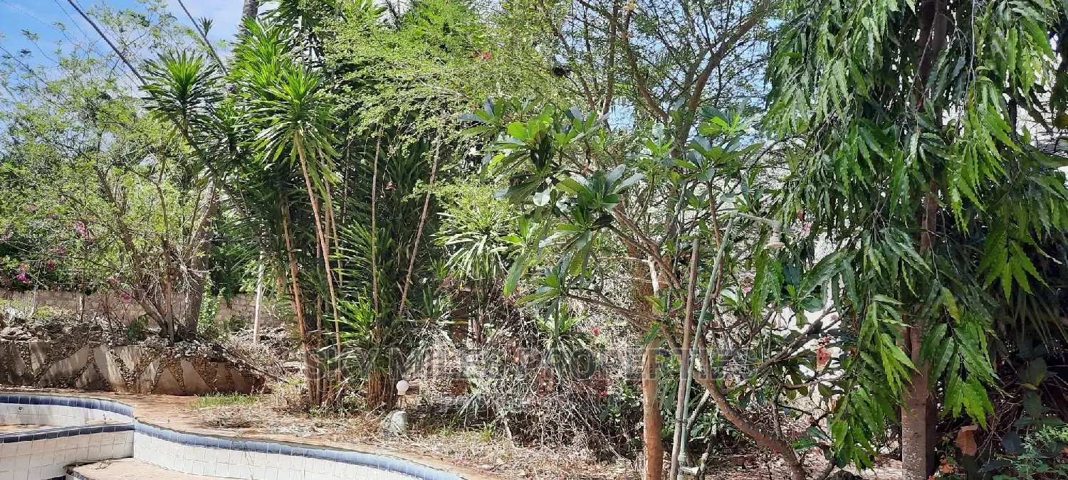Abandoned Cottage With a Swimming Pool on Sale Mtwapa