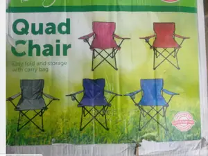 Folding Quad Chair With Carrier Bag