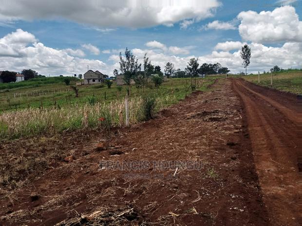 Residential Plot Anmer Estate Near Migaa Estate - main view