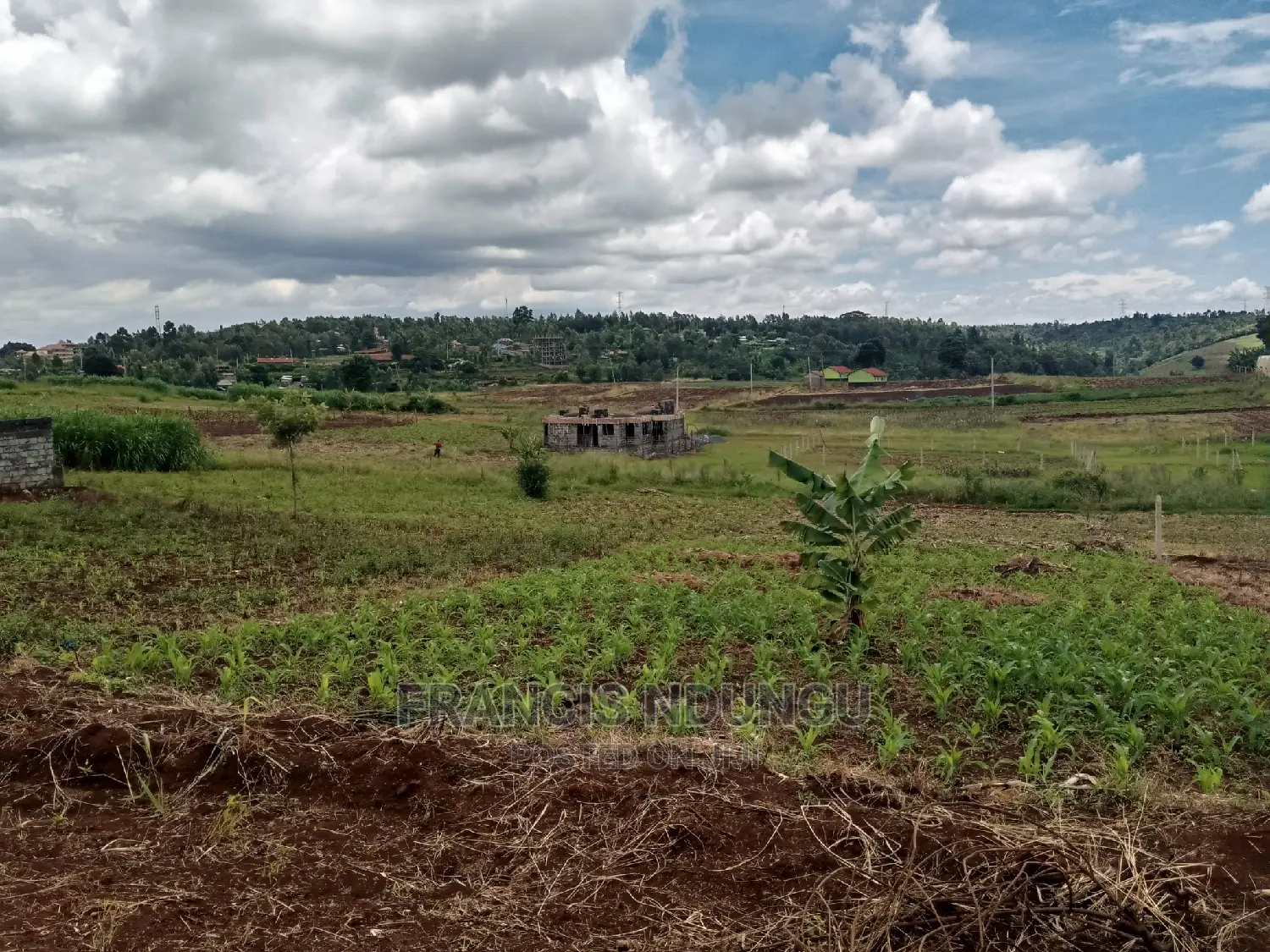 Residential Plot Anmer Estate Near Migaa Estate