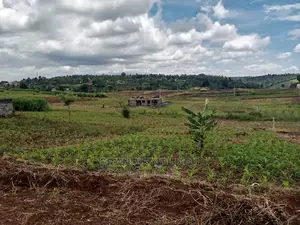 Residential Plot Anmer Estate Near Migaa Estate