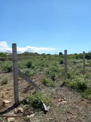For Sale Half Acre Shanzu