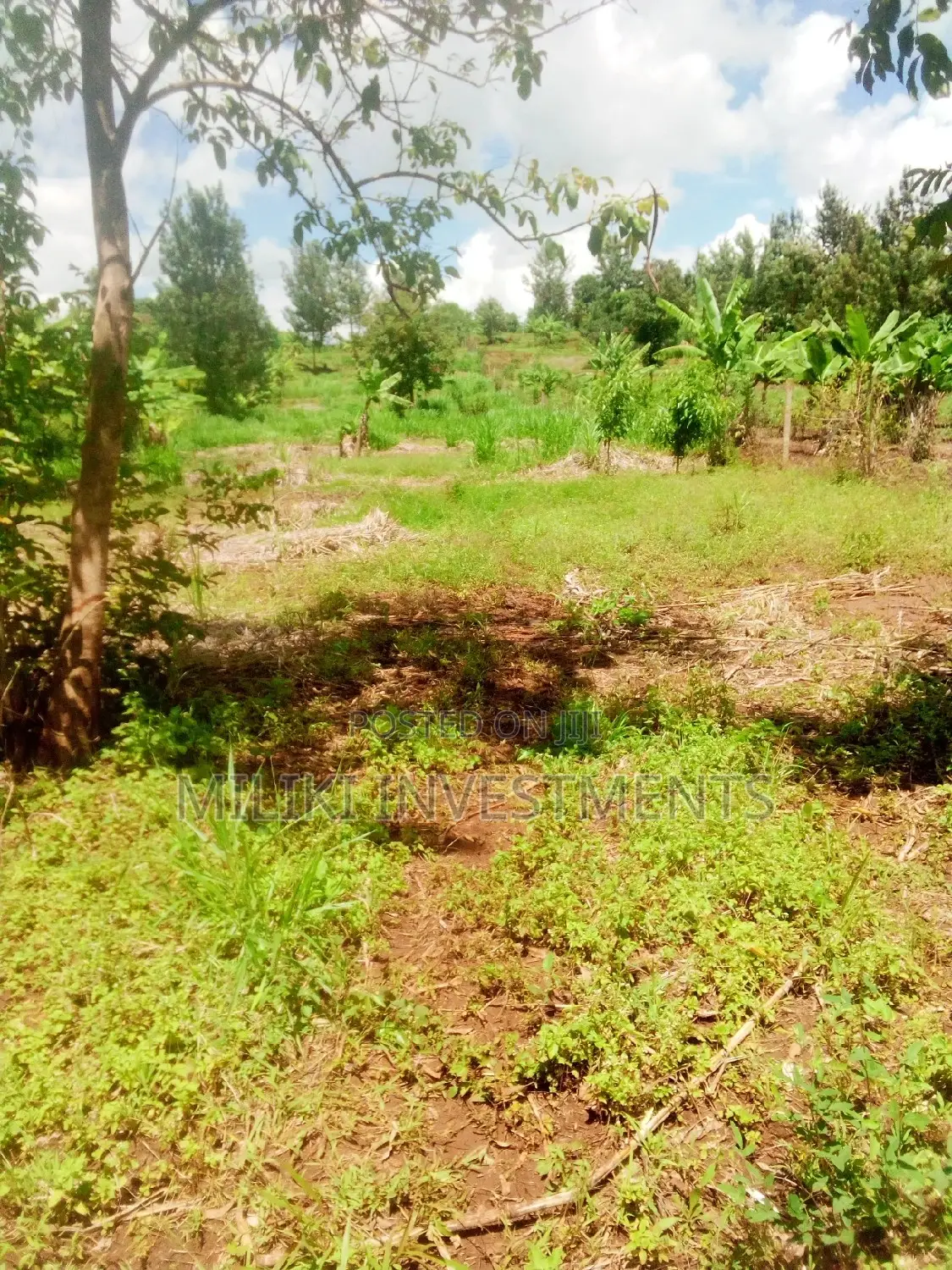 40 by 80 for Sale at Kenol