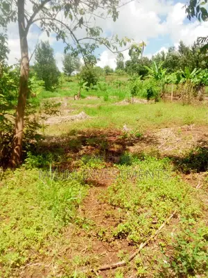 40 by 80 for Sale at Kenol