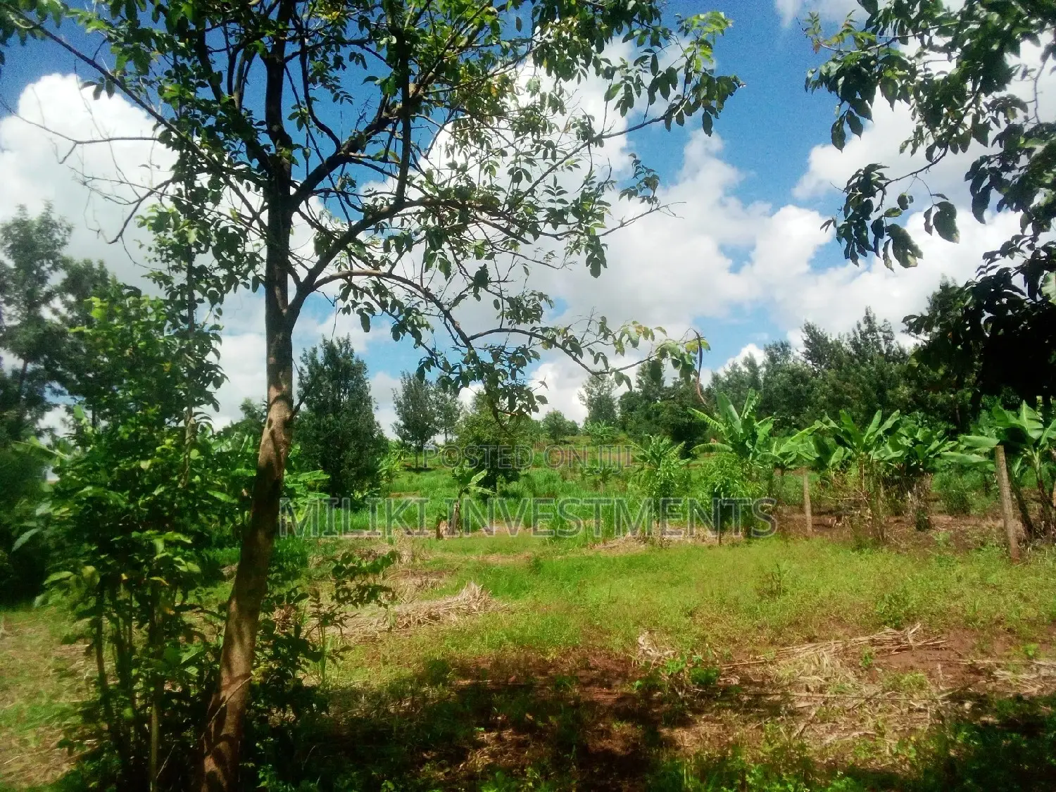 40 by 80 for Sale at Kenol