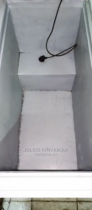 Deep Freezer 300L