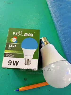 2colours Led Bulbs