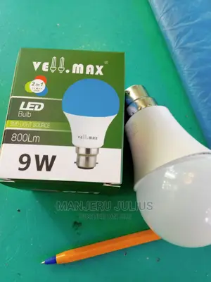 2colours Led Bulbs