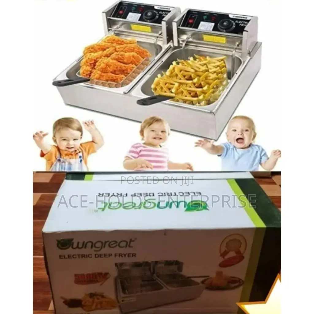 12litres Double Wngreat Electric Deep Flyer.