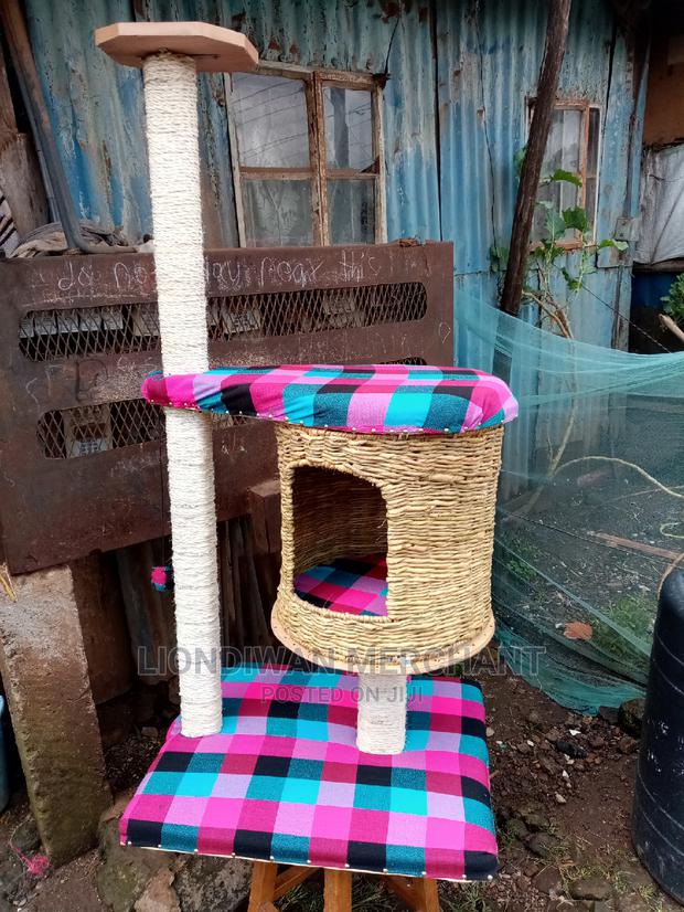 Cat House /Scratching Pole - main view