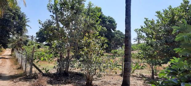Prime Plots on Sale Mtwapa - thumbnail 2