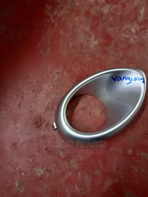 Toyota Van Guard 2008 Foglight Cover