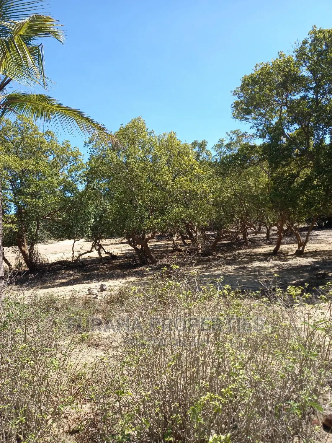 For Sale Quater Acre Several Creek Plots Mtwapa.