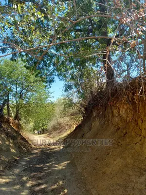 For Sale Quater Acre Several Creek Plots Mtwapa.