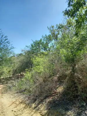 For Sale Quater Acre Several Creek Plots Mtwapa.