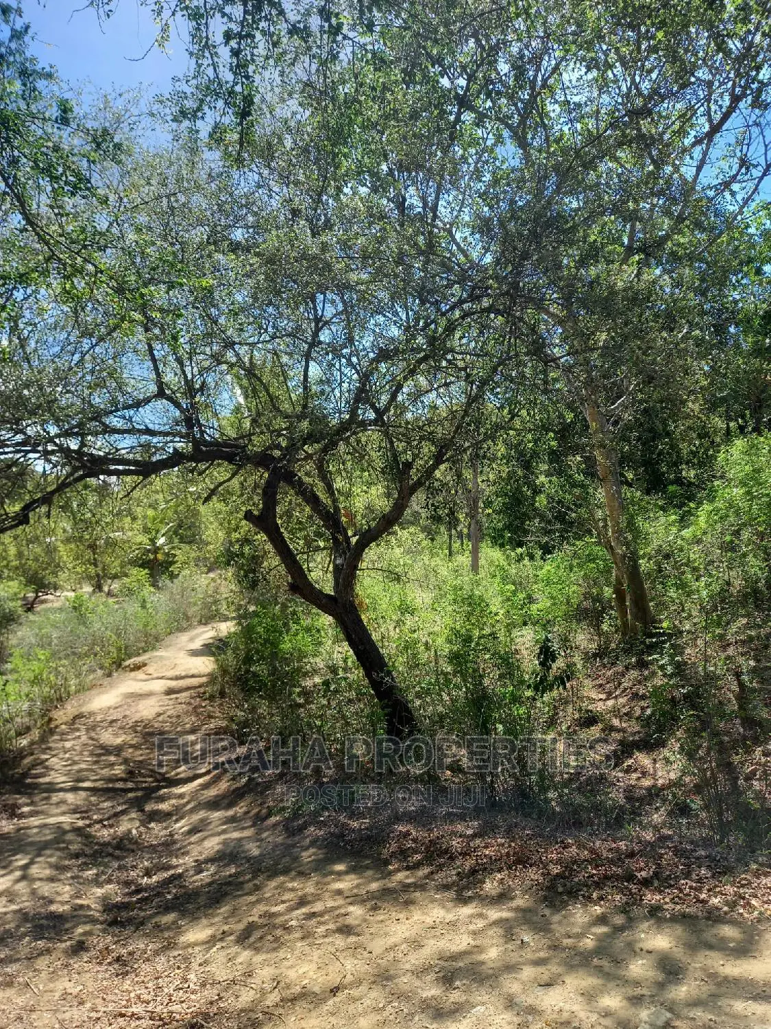 For Sale Quater Acre Several Creek Plots Mtwapa.