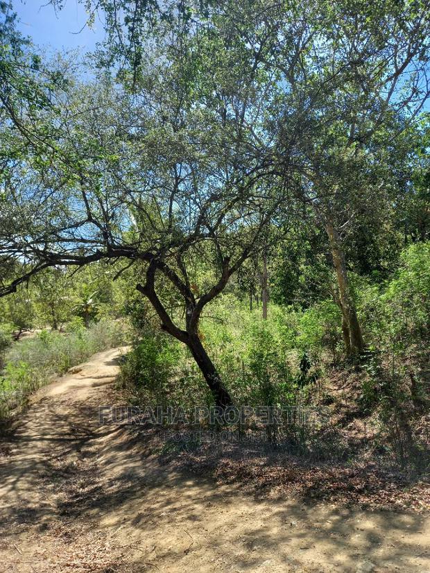 For Sale Quater Acre Several Creek Plots Mtwapa. - thumbnail 9