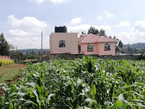 100x100 Ft Plot for Sale in Gikambura Kikuyu Kiambu County