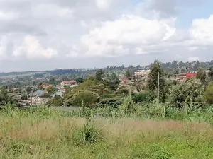 100x100 Ft Plot for Sale in Gikambura Kikuyu Kiambu County