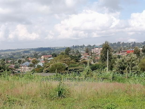 100x100 Ft Plot for Sale in Gikambura Kikuyu Kiambu County - thumbnail 4