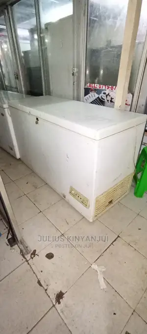 Ariston Deep Freezer 500L