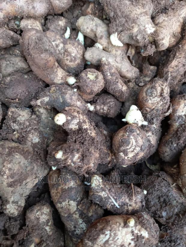 Ginger Rhizome Per Kg - main view
