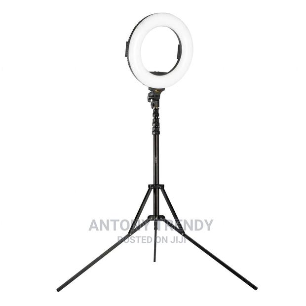 Neewer 14-inch Outer Dimmable - main view