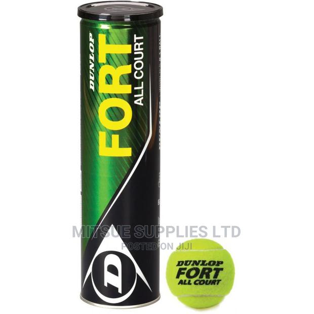 Tennis Ball Dunlop Fort All Court