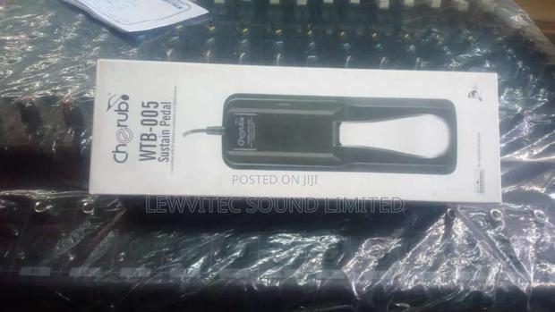 Cherubo Sustain Pedal