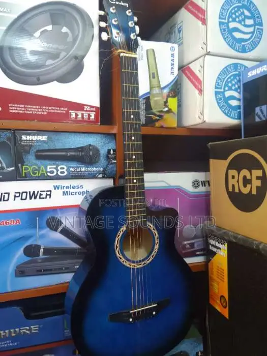 Acoustic Guitar USA