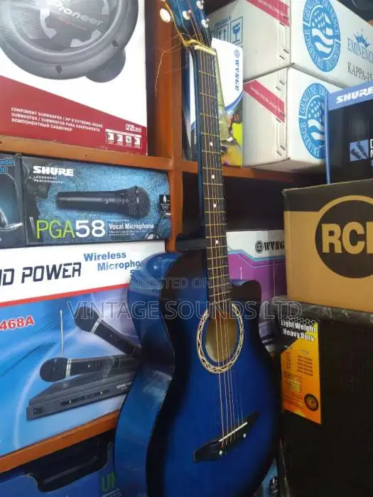 Acoustic Guitar USA