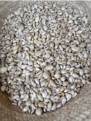 Garlic Cloves Seedlings. Rwanda / Rhino / Moyale. Moq 5kg