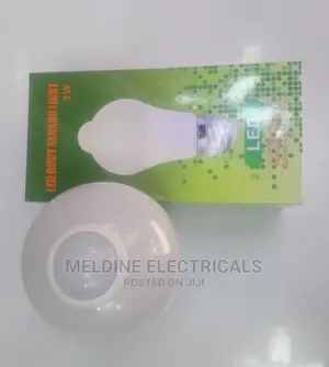 Motion Sensor Bulb