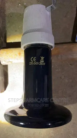 250 Watts Ceramic Vhicks Heater Bulb With Holder