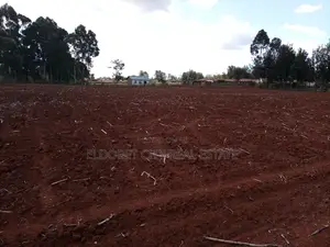 1/2 Acre Kaplelach With Mother Tittle of 5 Acres