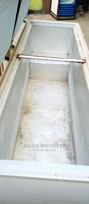 800L Deep Freezer