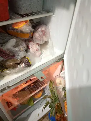 Fridge and Freezer Repairs