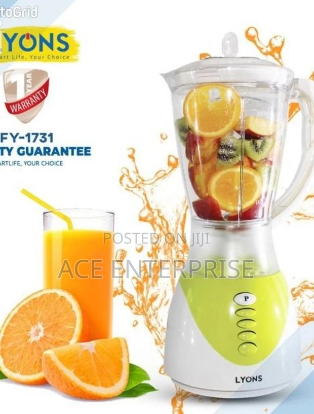 Lyons Blender 2 in 1 With Grinder - main view